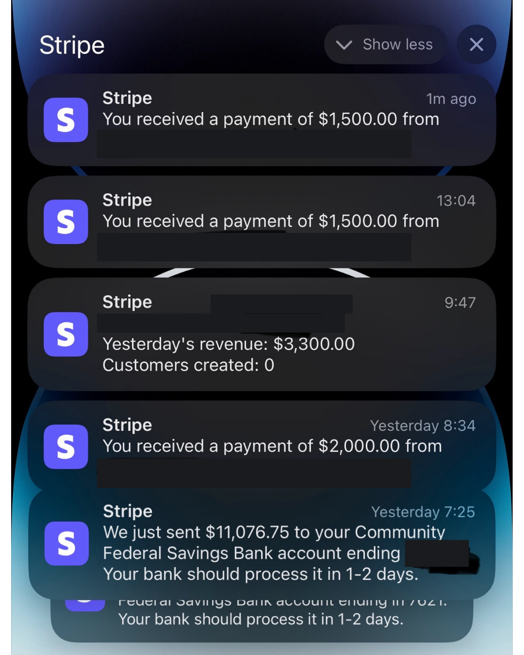 Revenue screenshot 2