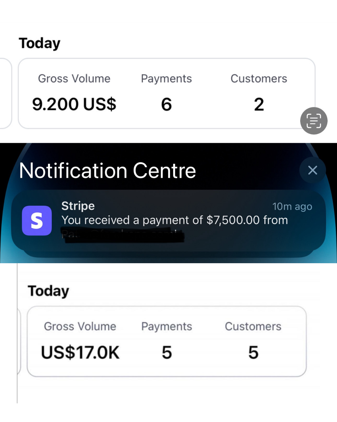 Revenue screenshot 4